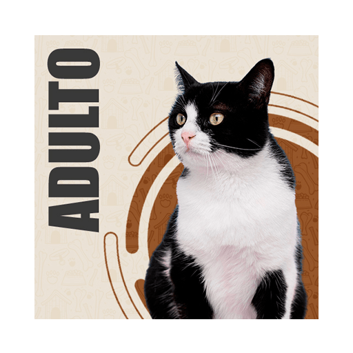 BARF-Purebarf para gato
