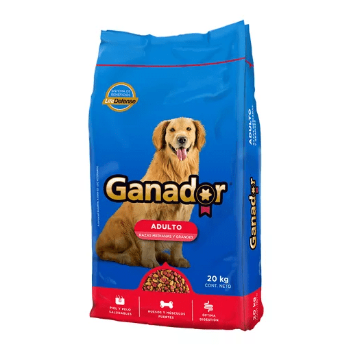 Ganador adulto mediano & grande